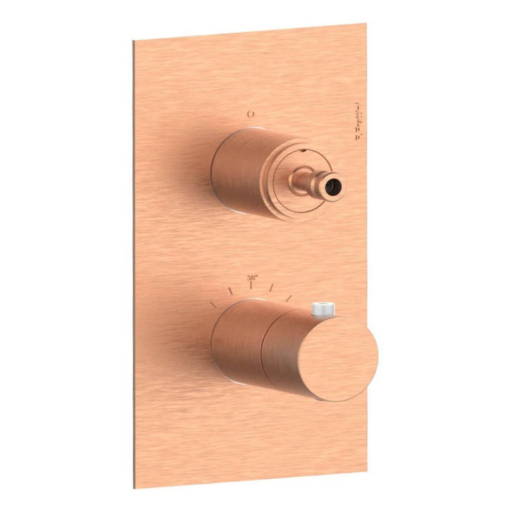 Fratelli Frattini 55712SV2 parte esterna visibile miscelatore incasso doccia termostatico 2 vie piastra ottone Fratelli Frattini 55712SV2 parte esterna visibile miscelatore incasso doccia termostatico 2 vie piastra ottone