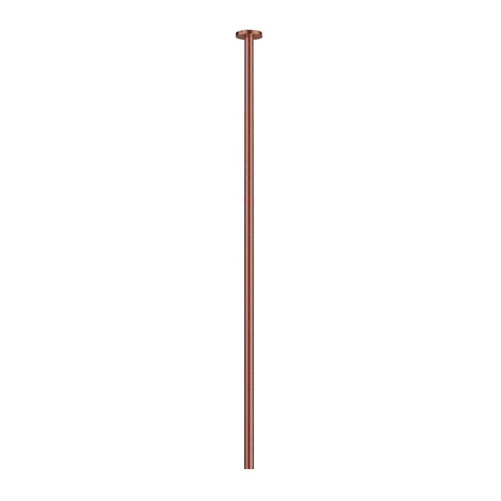 Fratelli Frattini 69997 bocca a soffitto con rosone serie PEPE XL 316 Fratelli Frattini 69997 bocca a soffitto con rosone serie PEPE XL 316