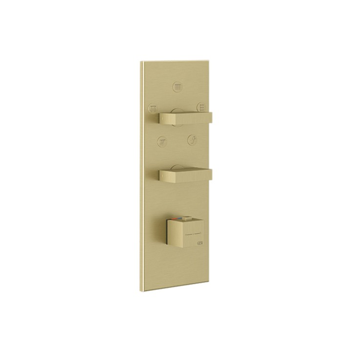 Gessi 43032 parte esterna miscelatore termostatico alta portata a parete 5 uscite con selezione singola linea RETTANGOLO Gessi 43032 parte esterna miscelatore termostatico alta portata a parete 5 uscite con selezione singola linea RETTANGOLO
