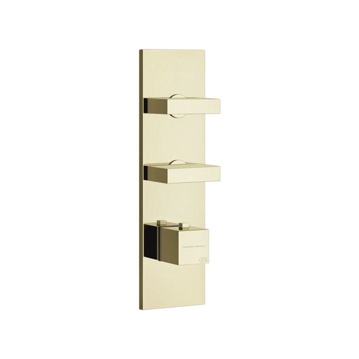 Gessi 43024 parte esterna miscelatore termostatico alta portata a parete 2 uscite indipendenti linea RETTANGOLO Gessi 43024 parte esterna miscelatore termostatico alta portata a parete 2 uscite indipendenti linea RETTANGOLO